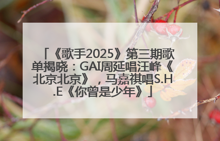 《歌手2025》第三期歌单揭晓：GAI周延唱汪峰《北京北京》，马嘉祺唱S.H.E《你曾是少年》