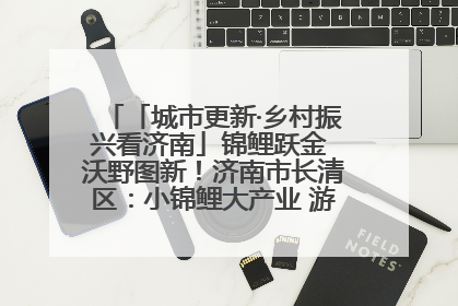 「城市更新·乡村振兴看济南」锦鲤跃金 沃野图新！济南市长清区：小锦鲤大产业 游出农旅新风景