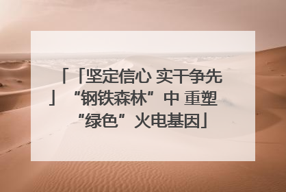 「坚定信心 实干争先」“钢铁森林”中 重塑“绿色”火电基因