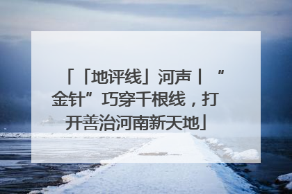 「地评线」河声丨“金针”巧穿千根线，打开善治河南新天地