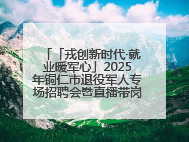 「戎创新时代·就业暖军心」2025年铜仁市退役军人专场招聘会暨直播带岗活动顺利举行