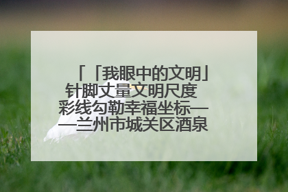 「我眼中的文明」针脚丈量文明尺度 彩线勾勒幸福坐标——兰州市城关区酒泉路街道办事处