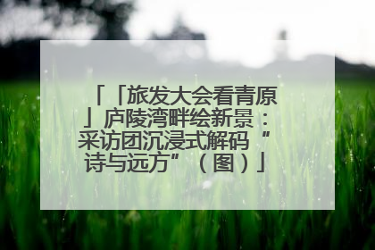 「旅发大会看青原」庐陵湾畔绘新景：采访团沉浸式解码“诗与远方”（图）