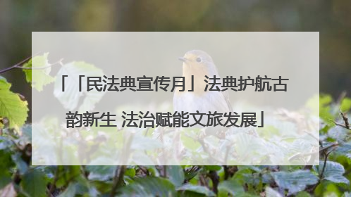 「民法典宣传月」法典护航古韵新生 法治赋能文旅发展