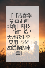 「青春华章·重走西北角」科技“智”造！天水花牛苹果用“芯”甜透你的味蕾