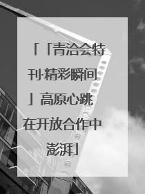 「青洽会特刊·精彩瞬间」高原心跳 在开放合作中澎湃