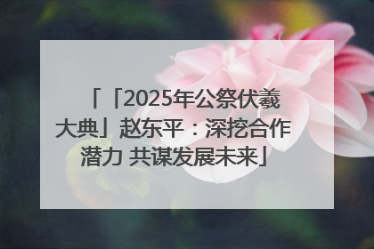 「2025年公祭伏羲大典」赵东平：深挖合作潜力 共谋发展未来
