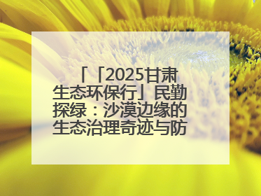 「2025甘肃生态环保行」民勤探绿：沙漠边缘的生态治理奇迹与防沙治沙密码