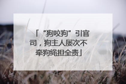 “狗咬狗”引官司，狗主人屡次不牵狗绳担全责