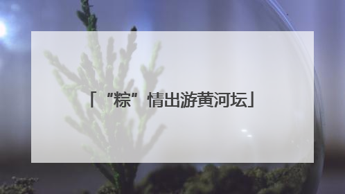 “粽”情出游黄河坛