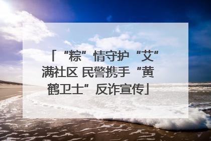 “粽”情守护“艾”满社区 民警携手“黄鹤卫士”反诈宣传