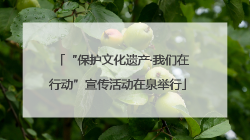 “保护文化遗产·我们在行动”宣传活动在泉举行