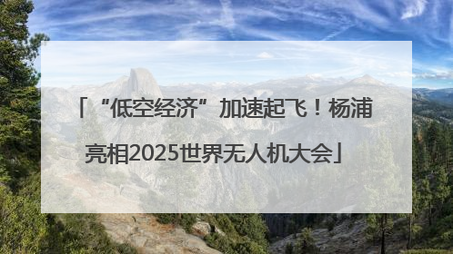 “低空经济”加速起飞！杨浦亮相2025世界无人机大会