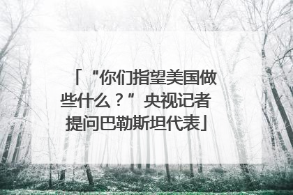 “你们指望美国做些什么？”央视记者提问巴勒斯坦代表