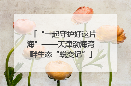 “一起守护好这片海”——天津渤海湾畔生态“蜕变记”