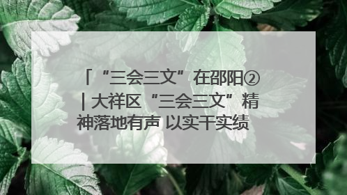 “三会三文”在邵阳②｜大祥区“三会三文”精神落地有声 以实干实绩助力区域高质量发展