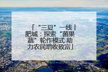 “三夏”一线丨肥城：探索“菌果蔬”轮作模式 助力农民增收致富