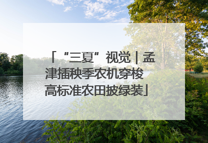 “三夏”视觉｜孟津插秧季农机穿梭 高标准农田披绿装
