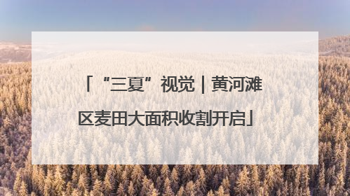 “三夏”视觉｜黄河滩区麦田大面积收割开启