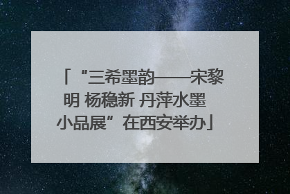 “三希墨韵——宋黎明 杨稳新 丹萍水墨小品展”在西安举办