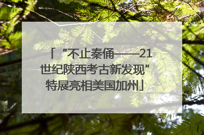 “不止秦俑——21世纪陕西考古新发现”特展亮相美国加州