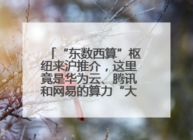 “东数西算”枢纽来沪推介，这里竟是华为云、腾讯和网易的算力“大本营”