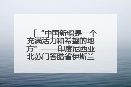 “中国新疆是一个充满活力和希望的地方”——印度尼西亚北苏门答腊省伊斯兰教代表团参访新疆