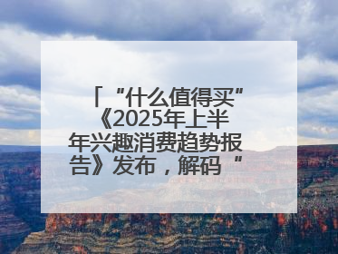 “什么值得买”《2025年上半年兴趣消费趋势报告》发布，解码“心价比”时代兴趣消费新范式