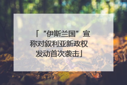 “伊斯兰国”宣称对叙利亚新政权发动首次袭击
