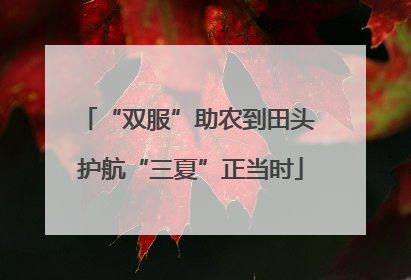 “双服”助农到田头 护航“三夏”正当时