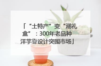 “土特产”变“潮礼盒”：300年老品种洋芋靠设计突围市场