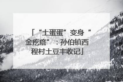 “土蛋蛋”变身“金疙瘩”：孙伯镇西程村土豆丰收记