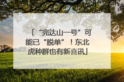“完达山一号”可能已“脱单”！东北虎种群也有新喜讯