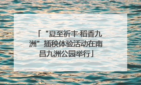 “夏至祈丰·稻香九洲”插秧体验活动在南昌九洲公园举行
