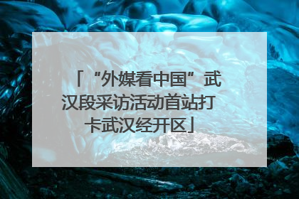 “外媒看中国”武汉段采访活动首站打卡武汉经开区