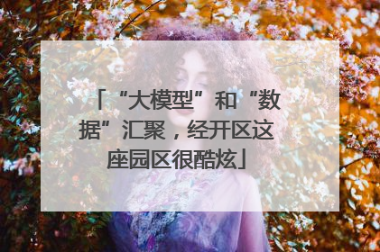 “大模型”和“数据”汇聚，经开区这座园区很酷炫