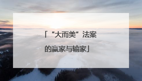 “大而美”法案的赢家与输家