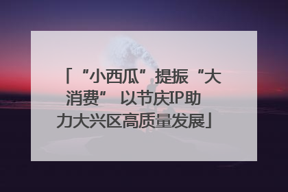 “小西瓜”提振“大消费” 以节庆IP助力大兴区高质量发展