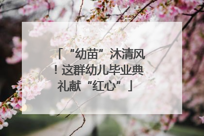 “幼苗”沐清风！这群幼儿毕业典礼献“红心”