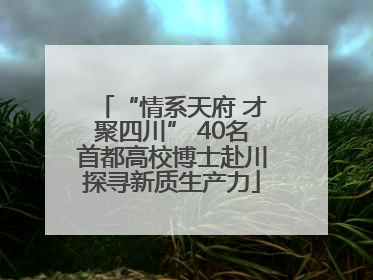 “情系天府 才聚四川” 40名首都高校博士赴川探寻新质生产力