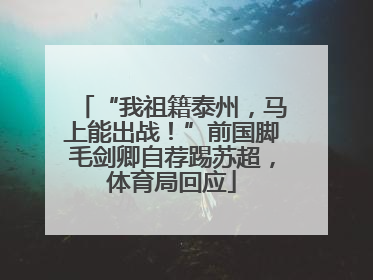 “我祖籍泰州，马上能出战！”前国脚毛剑卿自荐踢苏超，体育局回应