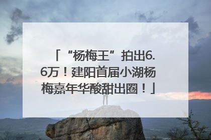 “杨梅王”拍出6.6万！建阳首届小湖杨梅嘉年华酸甜出圈！