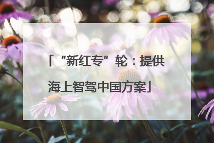 “新红专”轮：提供海上智驾中国方案