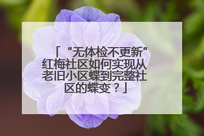 “无体检不更新”红梅社区如何实现从老旧小区蝶到完整社区的蝶变？