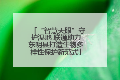 “智慧天眼”守护湿地 联通助力东明县打造生物多样性保护新范式