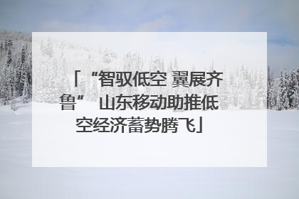 “智驭低空 翼展齐鲁” 山东移动助推低空经济蓄势腾飞