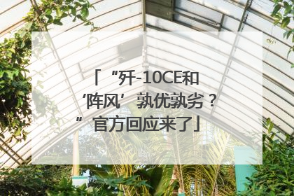 “歼-10CE和‘阵风’孰优孰劣？”官方回应来了