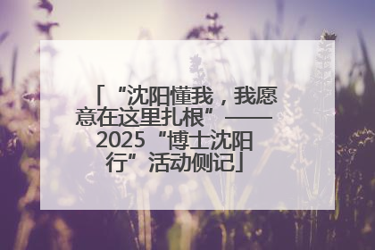 “沈阳懂我，我愿意在这里扎根”——2025“博士沈阳行”活动侧记
