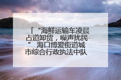 “海鲜运输车凌晨占道卸货，噪声扰民” 海口博爱街道城市综合行政执法中队：将联合交警加强长堤路一带巡逻