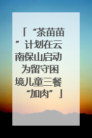 “茶苗苗”计划在云南保山启动 为留守困境儿童三餐“加肉”